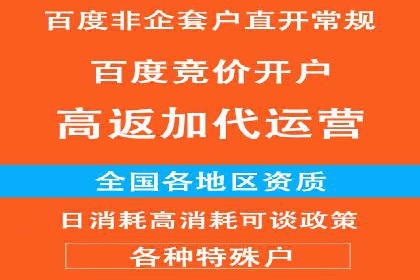 提升网站流量：SEO在百度推广的实战案例